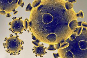 Has Coronavirus Killed Flu Influenza Cases Nosedive By 98 Percent