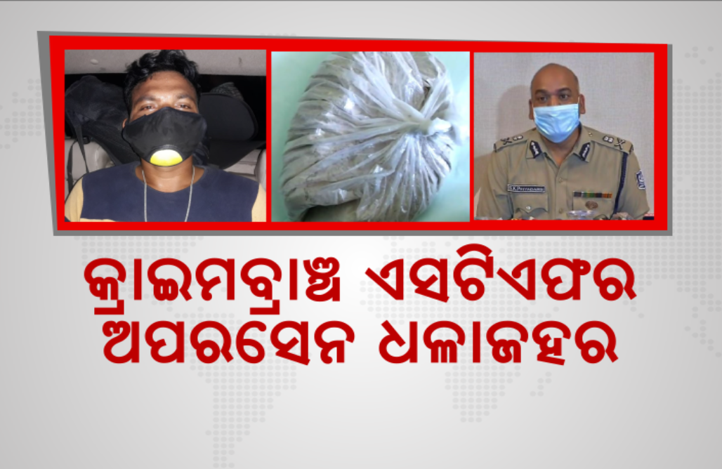 STF-Nabbed-Brown-Sugar-Dealer-Sheik-Ashik-from-Mayurbhanj-2