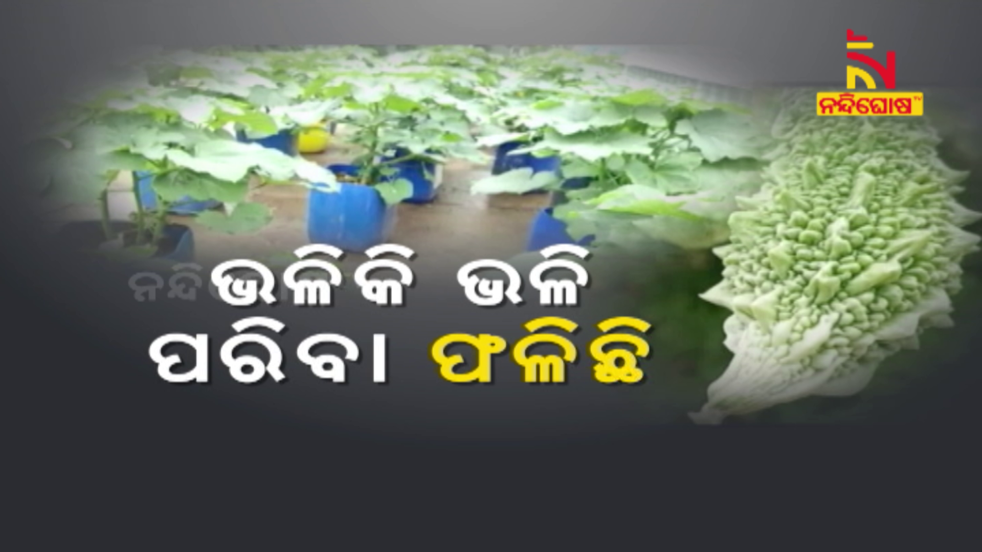 Kitchen Garden Kitchen Garden