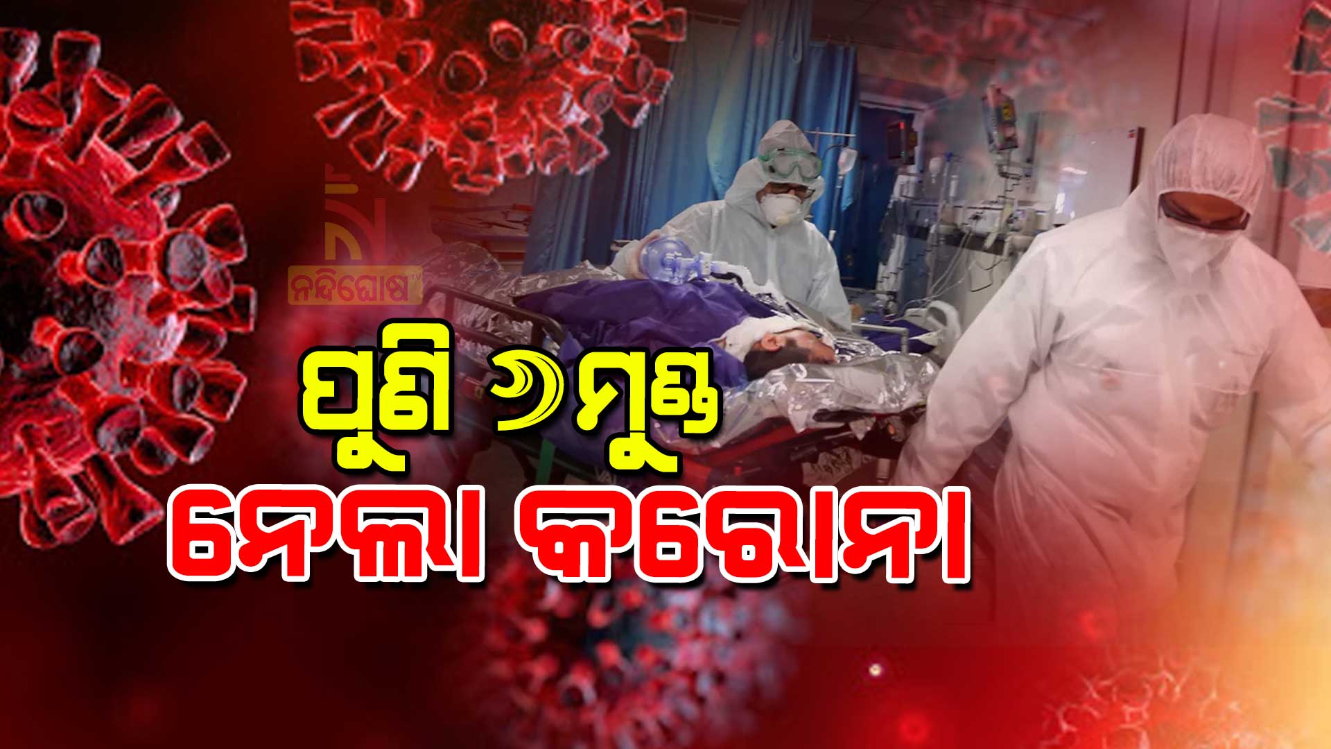 ପୁଣି-୬-ମୁଣ୍ଡ-ନେଲା-କରୋନା