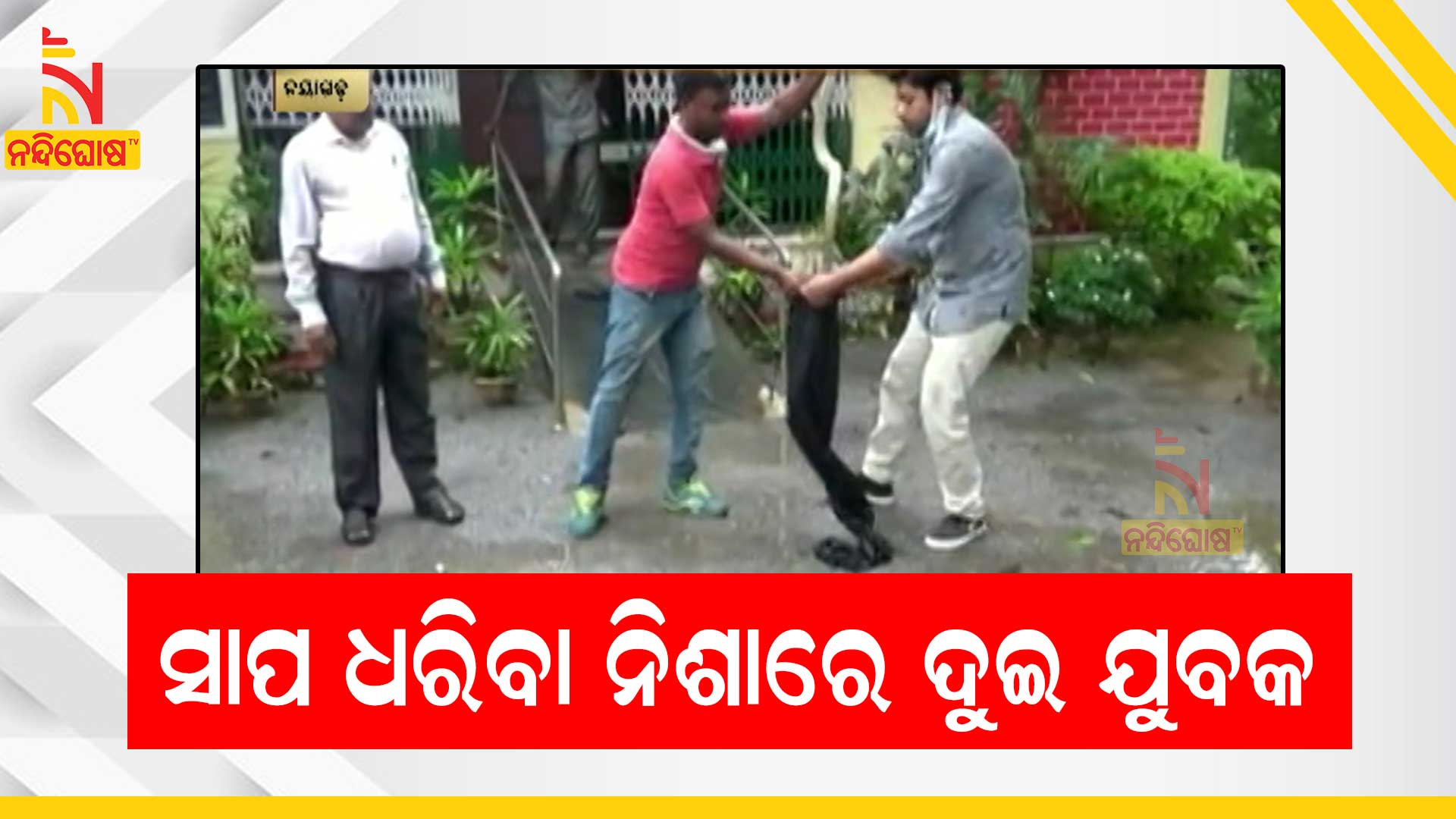 ସାପ-ଧରିବା-ନିଶାରେ-ଦୁଇ-ଯୁବକ