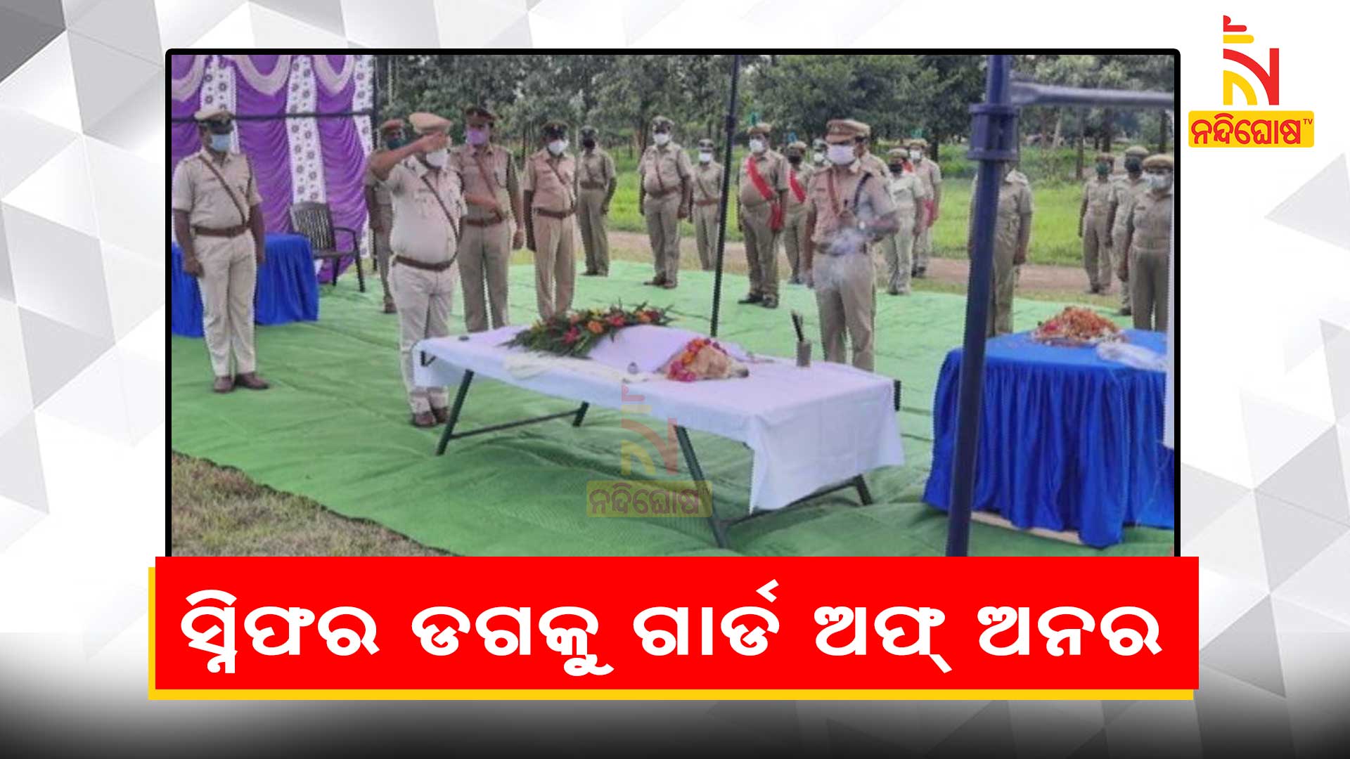 ସ୍ନିଫର-ଡଗକୁ-ଗାର୍ଡ-ଅଫ୍-ଅନର