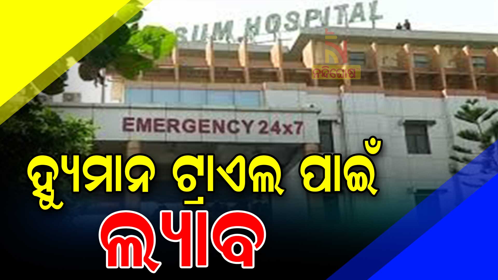ହ୍ୟୁମାନ-ଟ୍ରାଏଲ-ପାଇଁ-ଲ୍ୟାବ1