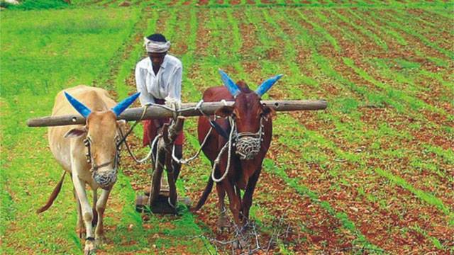 Why Jagatguru Shankaracharya Says Business Killing Farming 