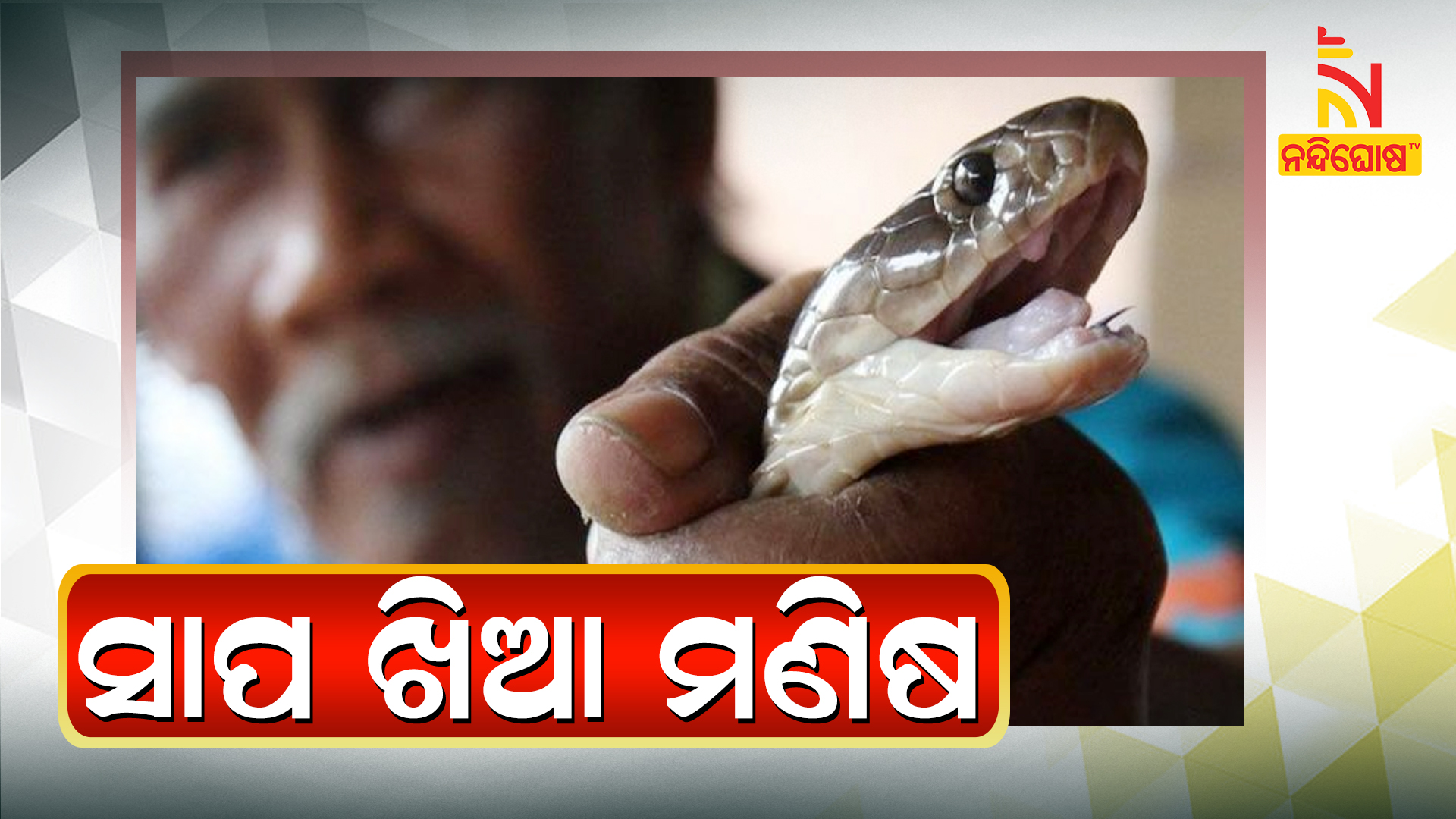 ସାପ-ଖିଆ-ମଣିଷ