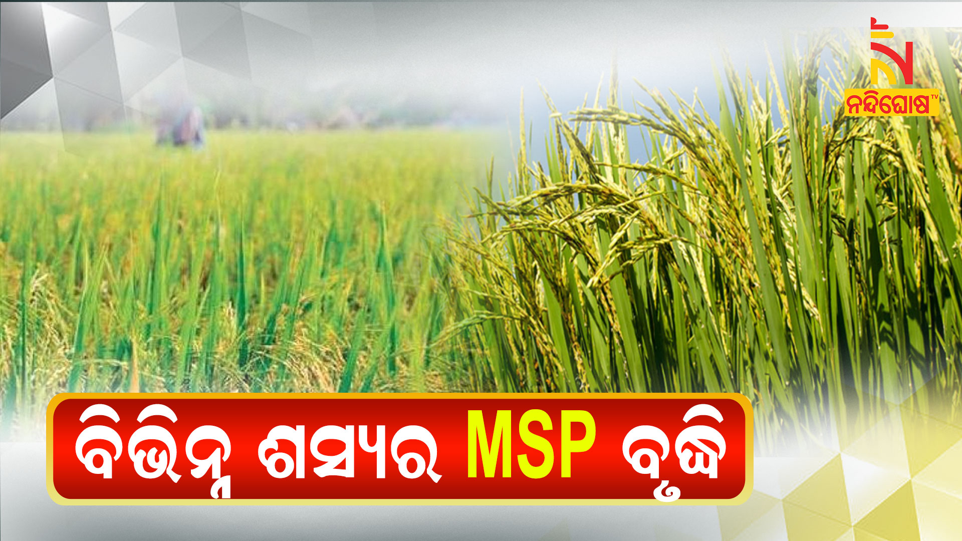 ବିଭିନ୍ନ-ଶସ୍ୟର-MSP-ବୃଦ୍ଧି