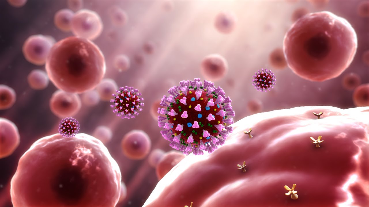 Has Coronavirus Killed Flu Influenza Cases Nosedive By 98 Percent