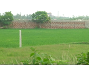 Sarua Land Scam, Crime Branch Interrogated Bibhu Prasad Rath In Second Day