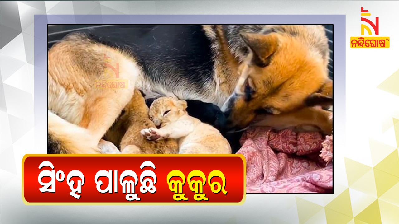 WhatsApp Image 2020-10-05 at 12.25.02 PM