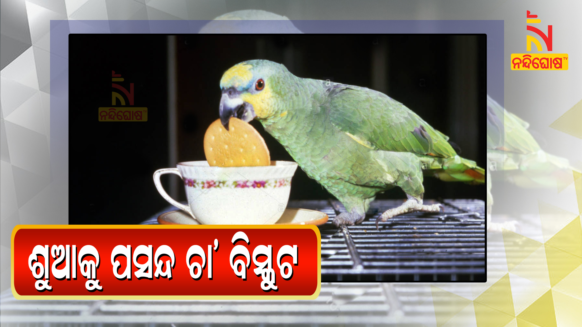 ଶୁଆକୁ-ପସନ୍ଦ-ଚା'-ବିସ୍କୁଟ