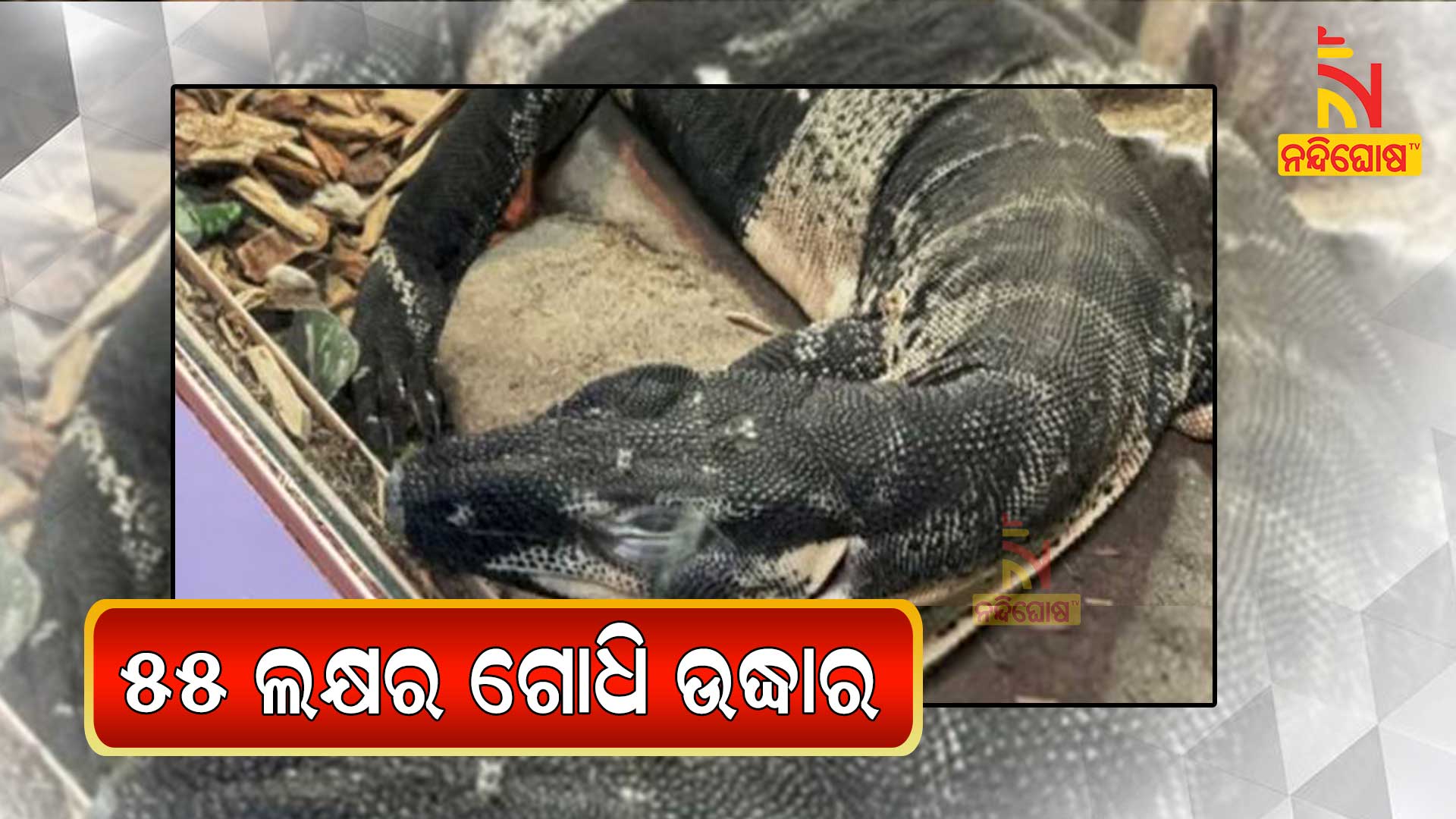 ୫୫-ଲକ୍ଷର-ଗୋଧି-ଉଦ୍ଧାର