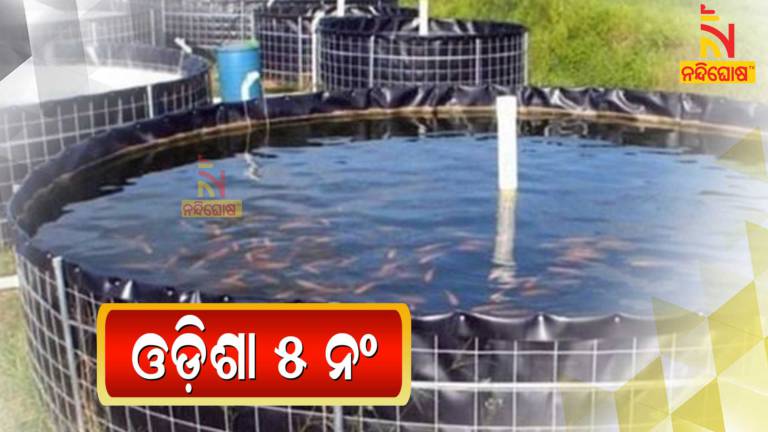 Odisha Fish Cultivation