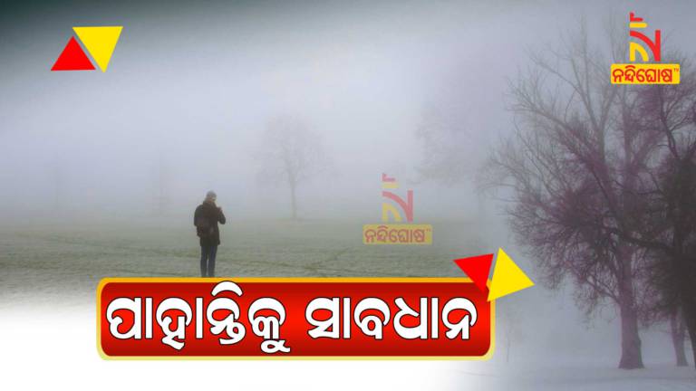 SRC Issues Dense Fog Alert To Some District Of Odisha