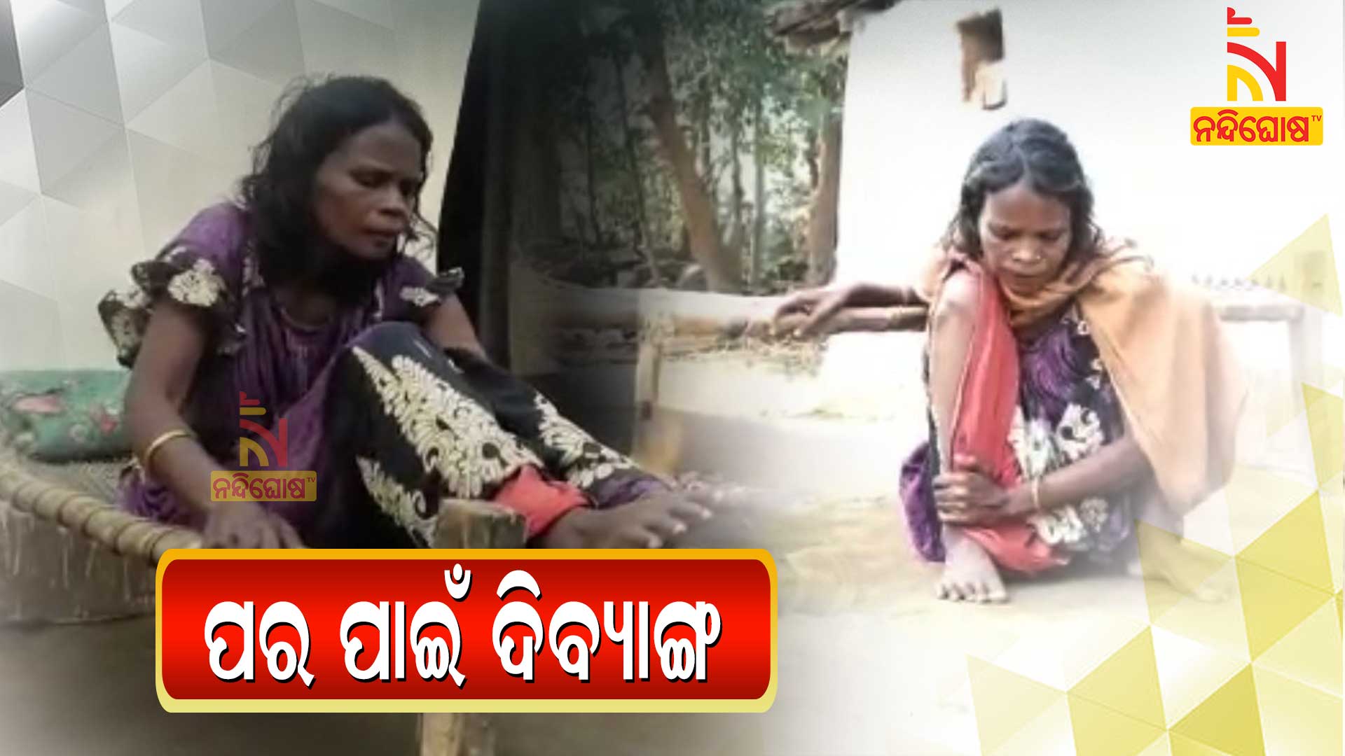 ପର-ପାଇଁ-ଦିବ୍ୟାଙ୍ଗ Pungi