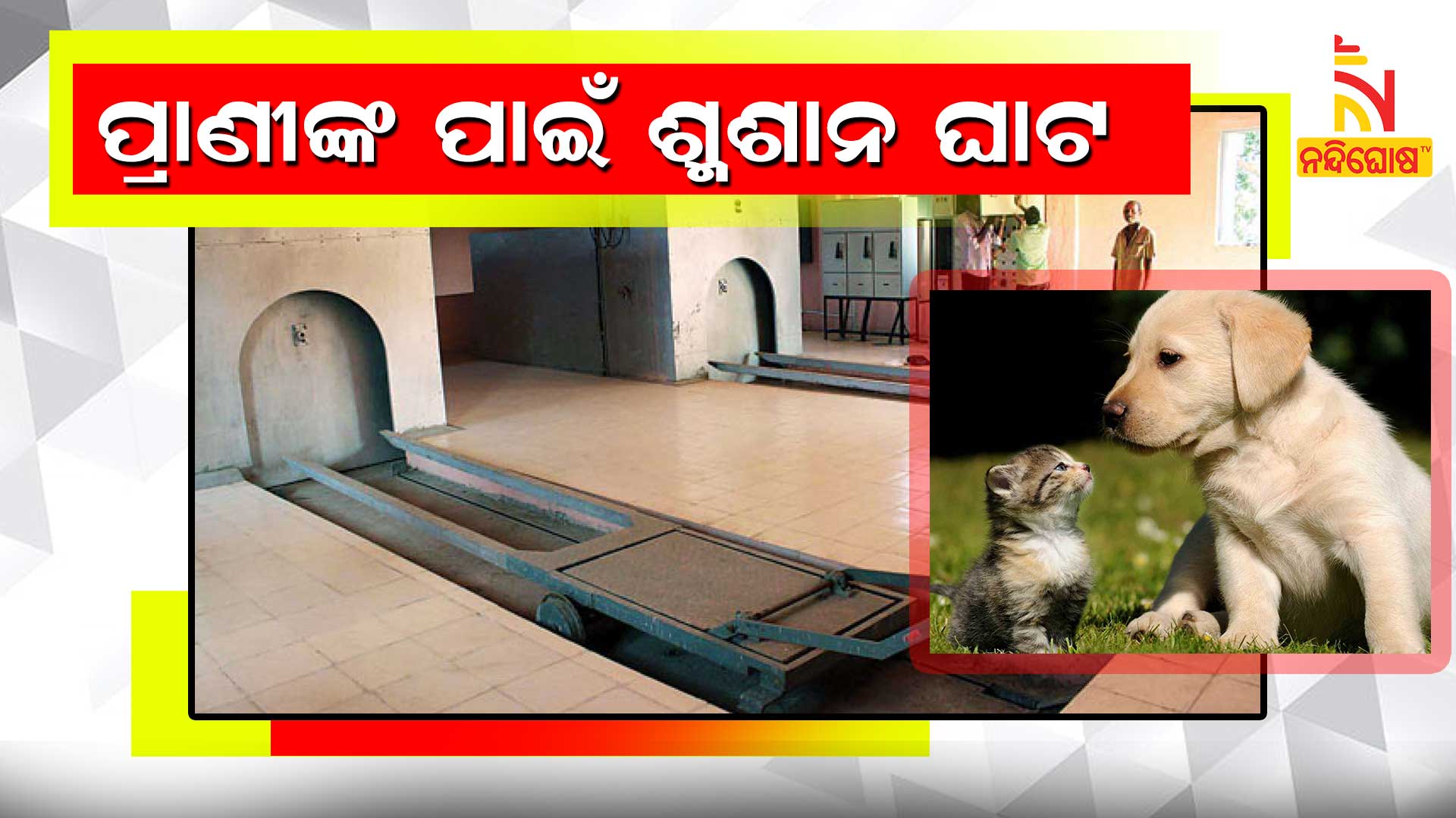 ପ୍ରାଣୀଙ୍କ-ପାଇଁ-ଶ୍ମଶାନ-ଘାଟ