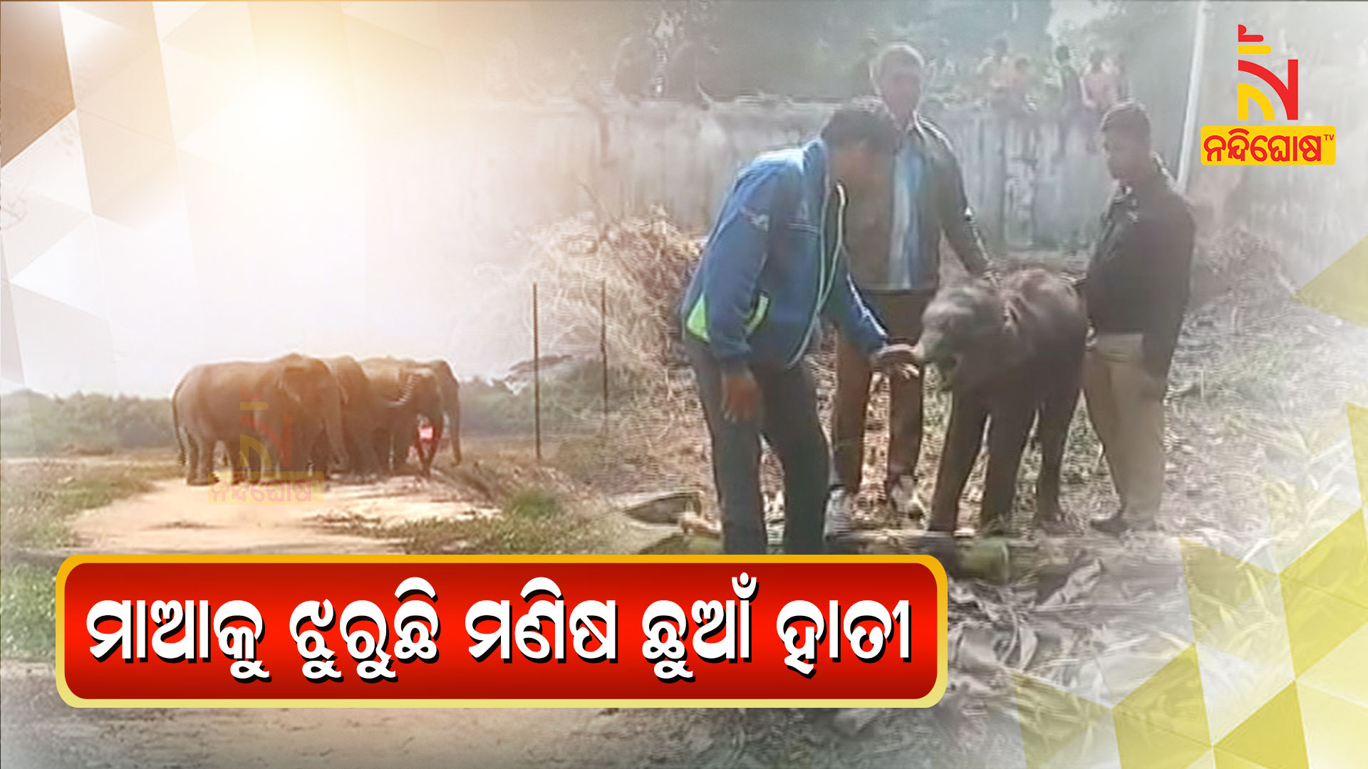 ମାଆକୁ-ଝୁରୁଛି-ମଣିଷ-ଛୁଆଁ-ହାତୀ