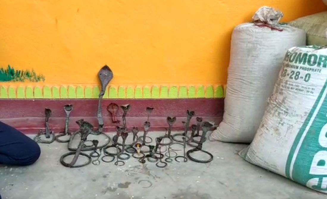 33 Copper Snake Idols Rescued From Sand Bag Bhadrak
