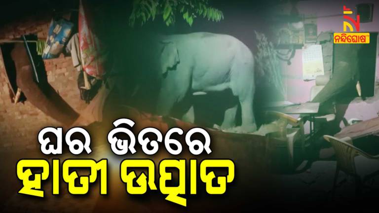 Wild elephant destroys household accessories in Sambalpur