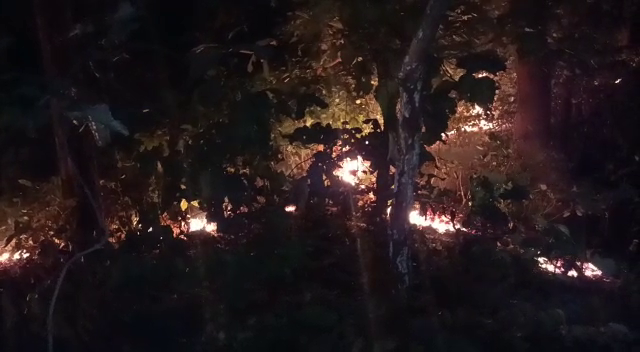 Fire Broke Out In Nilagiri Tinikosia Forest