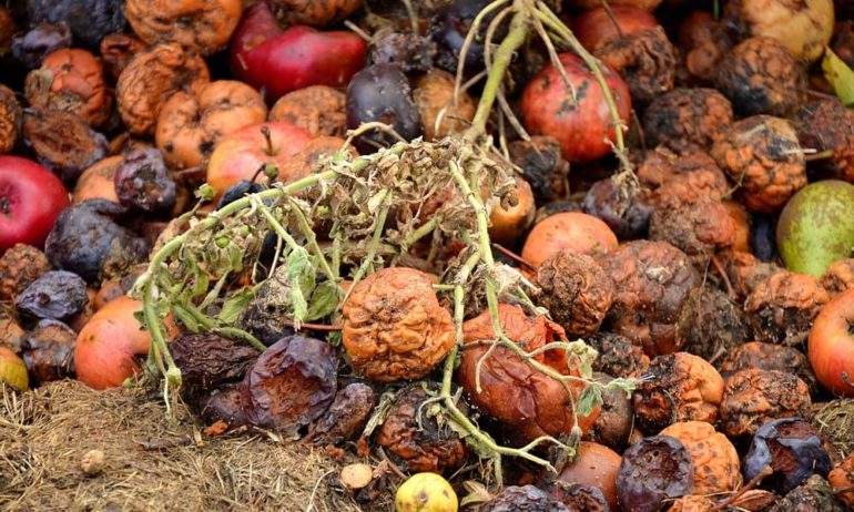 India's Agricultural Produce Is Wasted Annually 