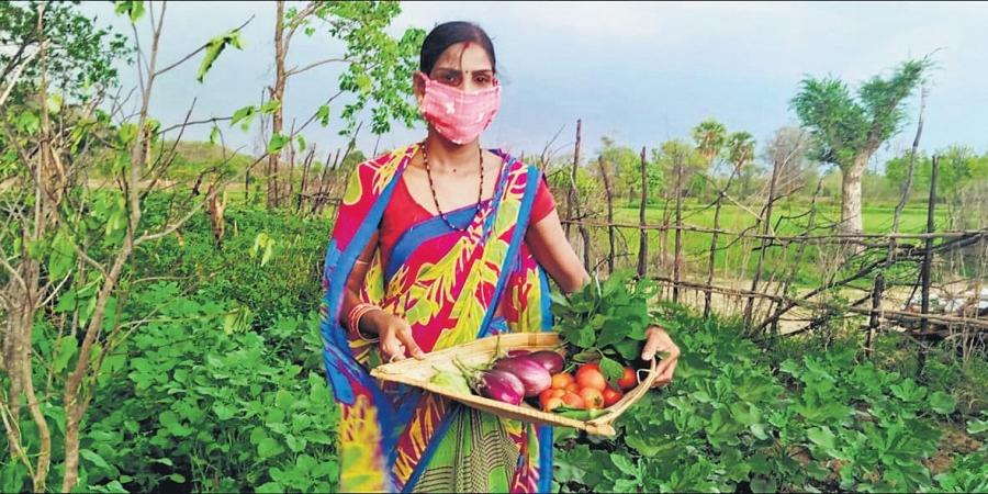 Niti Aayog Praises Odisha Millets Mission & Mo Upakari 