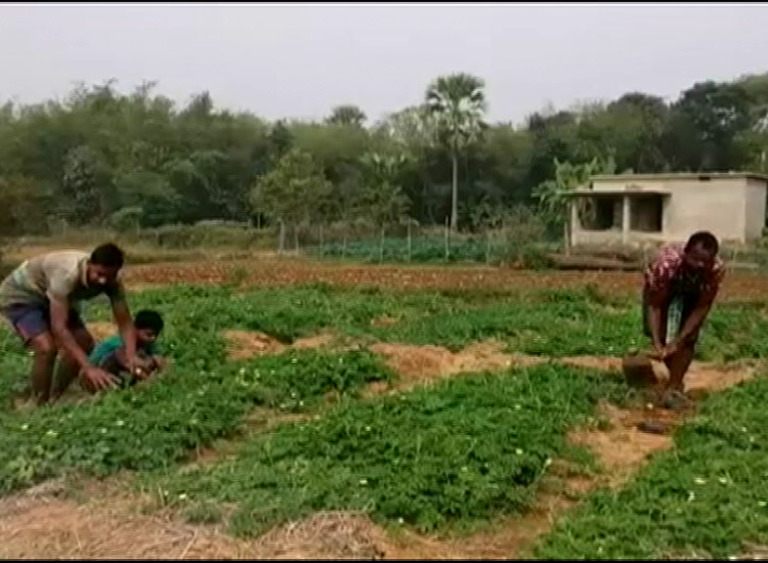 Farmer Bhadrak