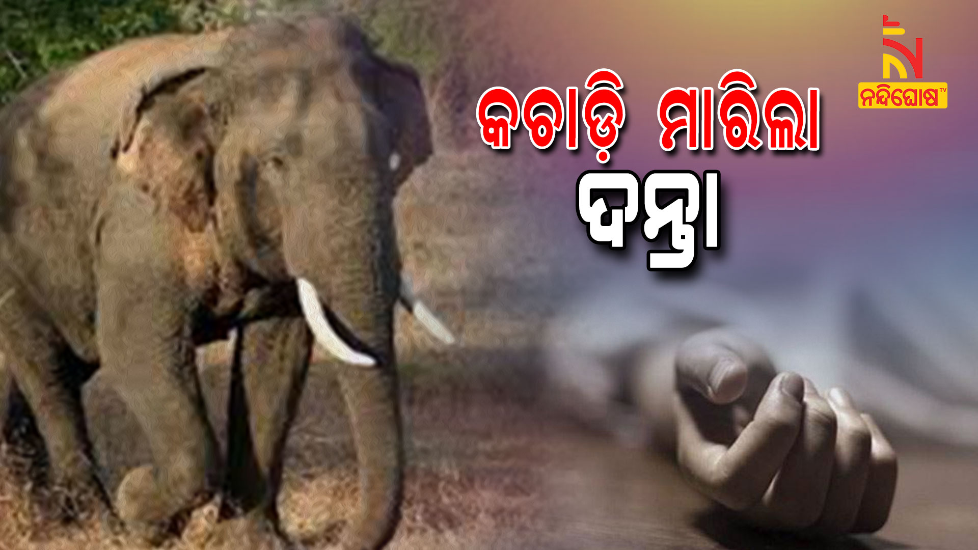 କଚାଡ଼ି-ମାରିଲା-ଦନ୍ତା