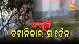 Fire Broke Out In Nandankanan Botanical Garden Bhubaneswar