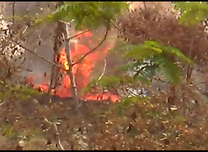 Fire Broke Out In Nandankanan Botanical Garden Bhubaneswar