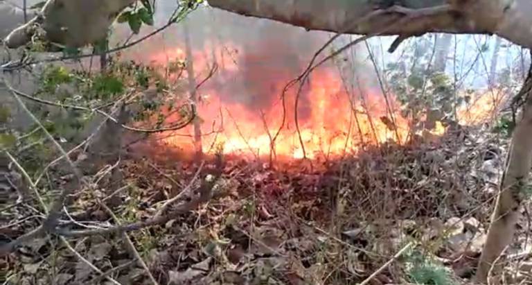 Fire Broke Outs IN Barunabanta Forest Chandikhol
