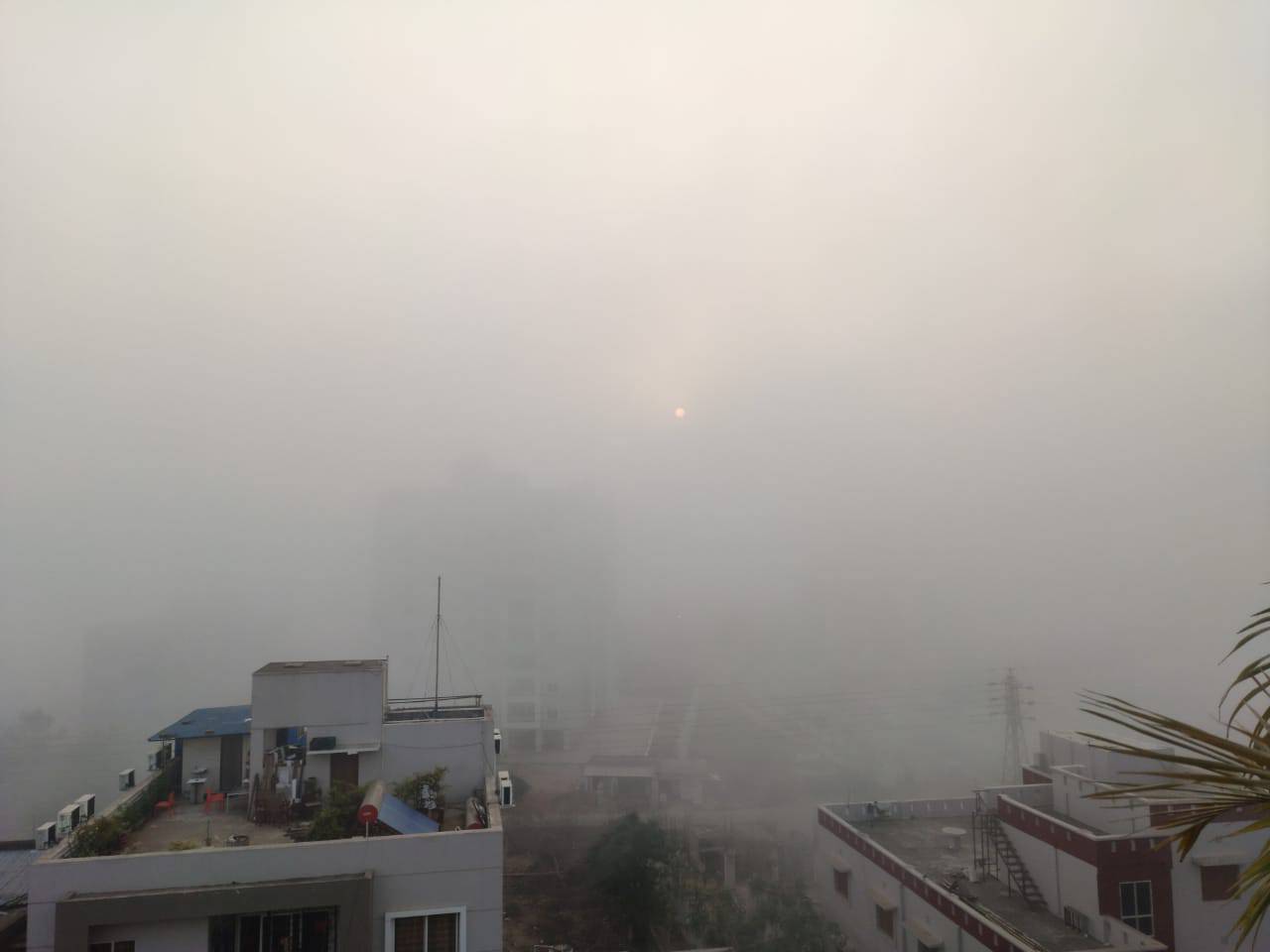 WhatsApp Image 2021-02-12 at 08.56.01