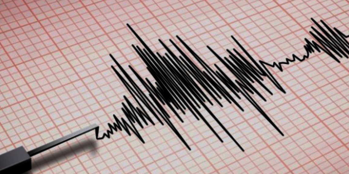 Powerful Undersea Quake Hits North Of New Zealand TSunami Warnings