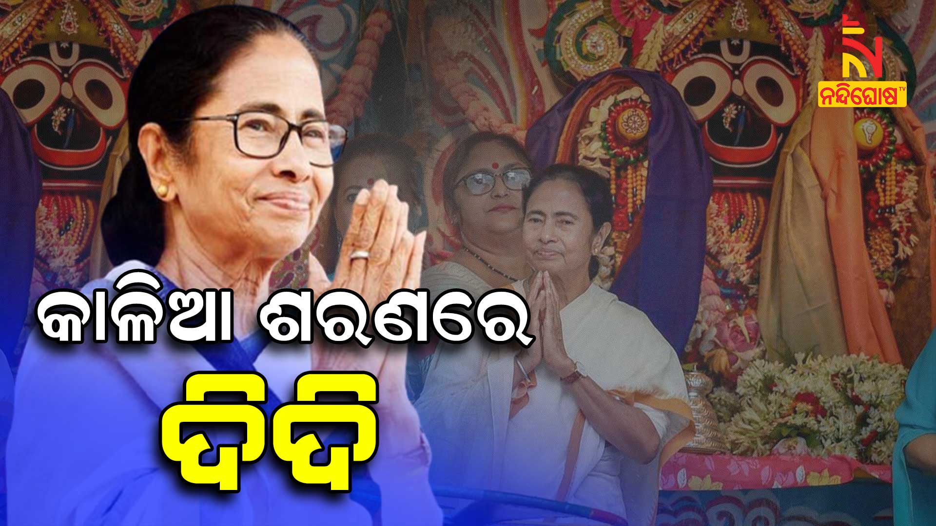 କାଳିଆ-ଶରଣରେ-ଦିଦି-