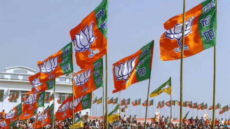 bjp defated in panchayat election in up
