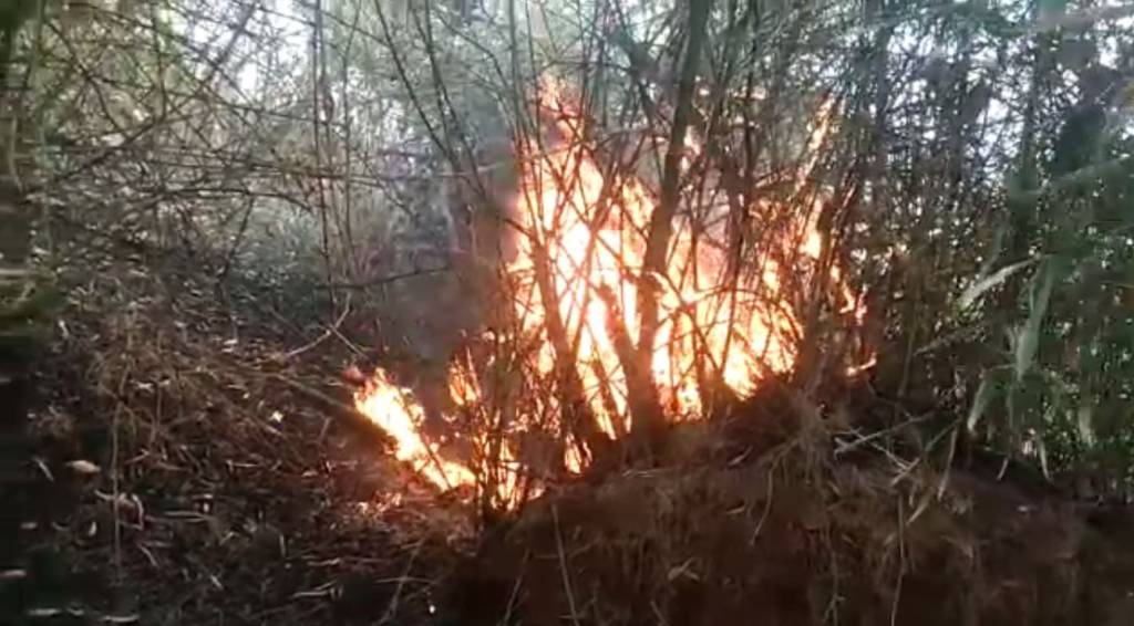 Fire Broke Outs In Budharaja Pahad Sambalpur  