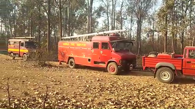 Fire Service Personnel Defusing Similipal Forest Fire 