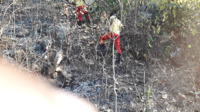Fire Service Personnel Defusing Similipal Forest Fire