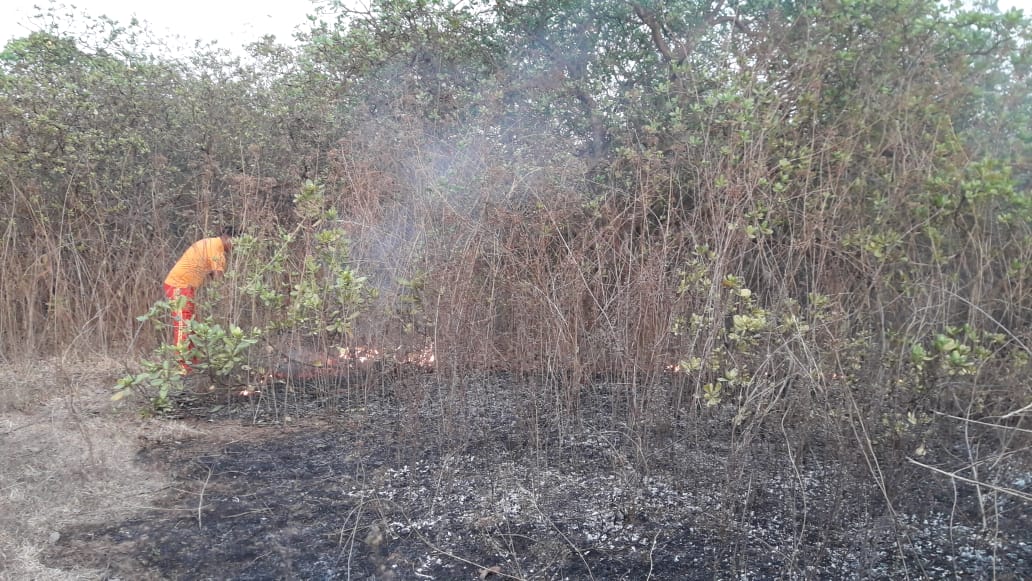 Fire Service Personnel Defusing Similipal Forest Fire 