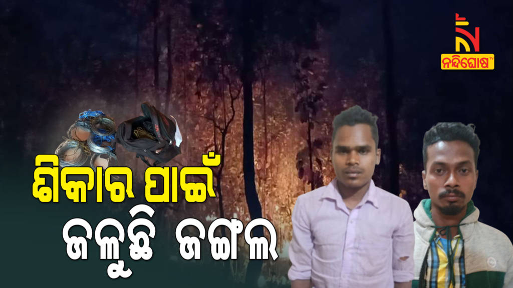 Forest Department Arresting Two For Forest Fire In Mayurbhanj