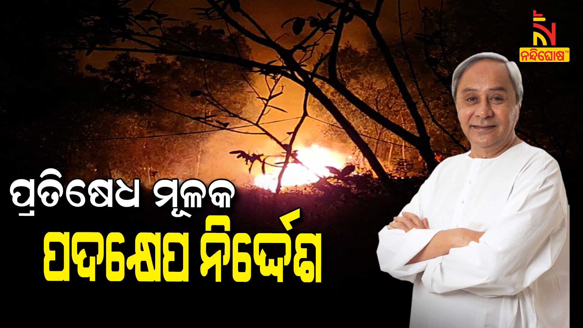 Similipal Fire Naveen Directs To Take Precautionary Measures