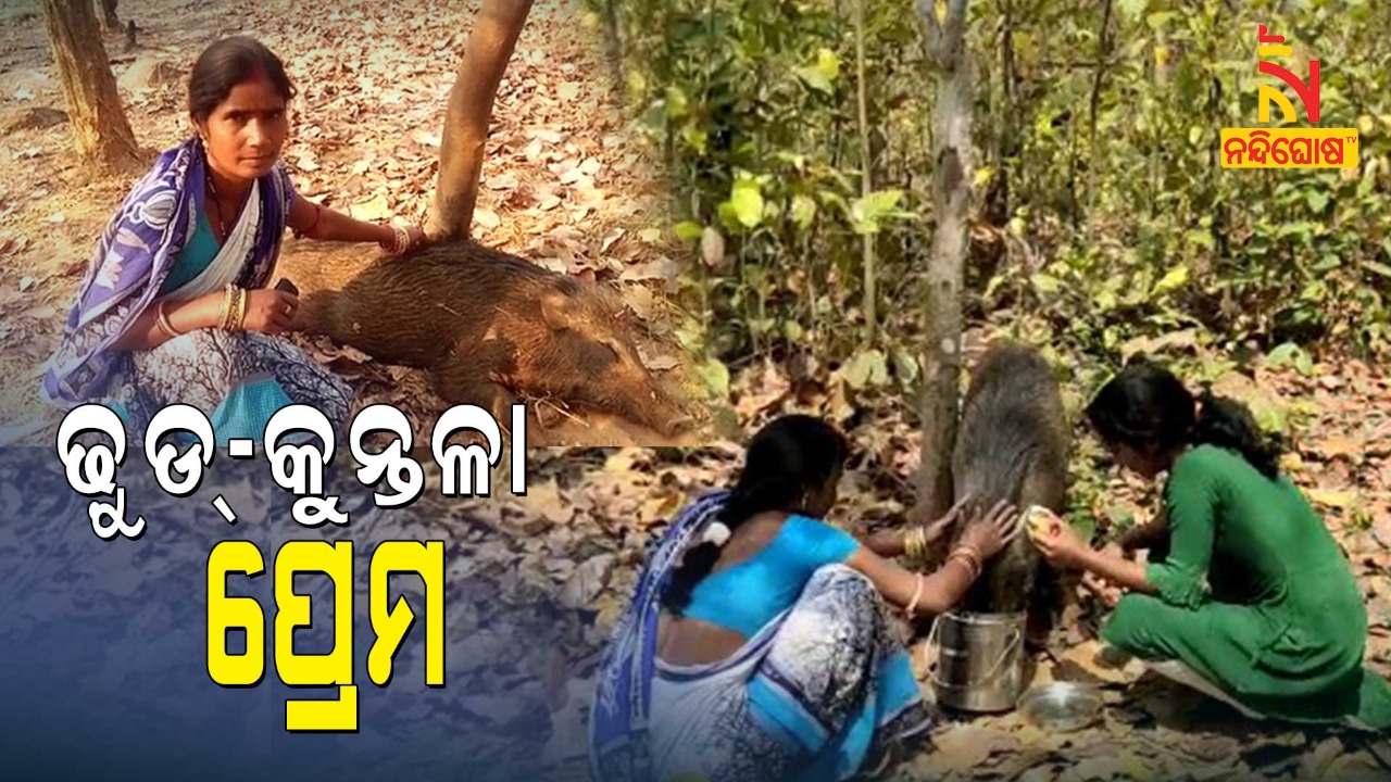 DHUD Kuntala DHUD Kuntala