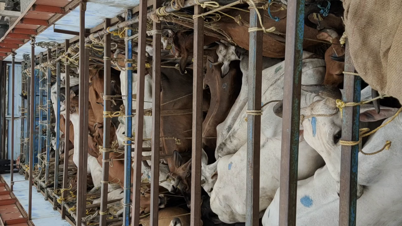 vlcsnap-2021-03-08-09h31m23s19