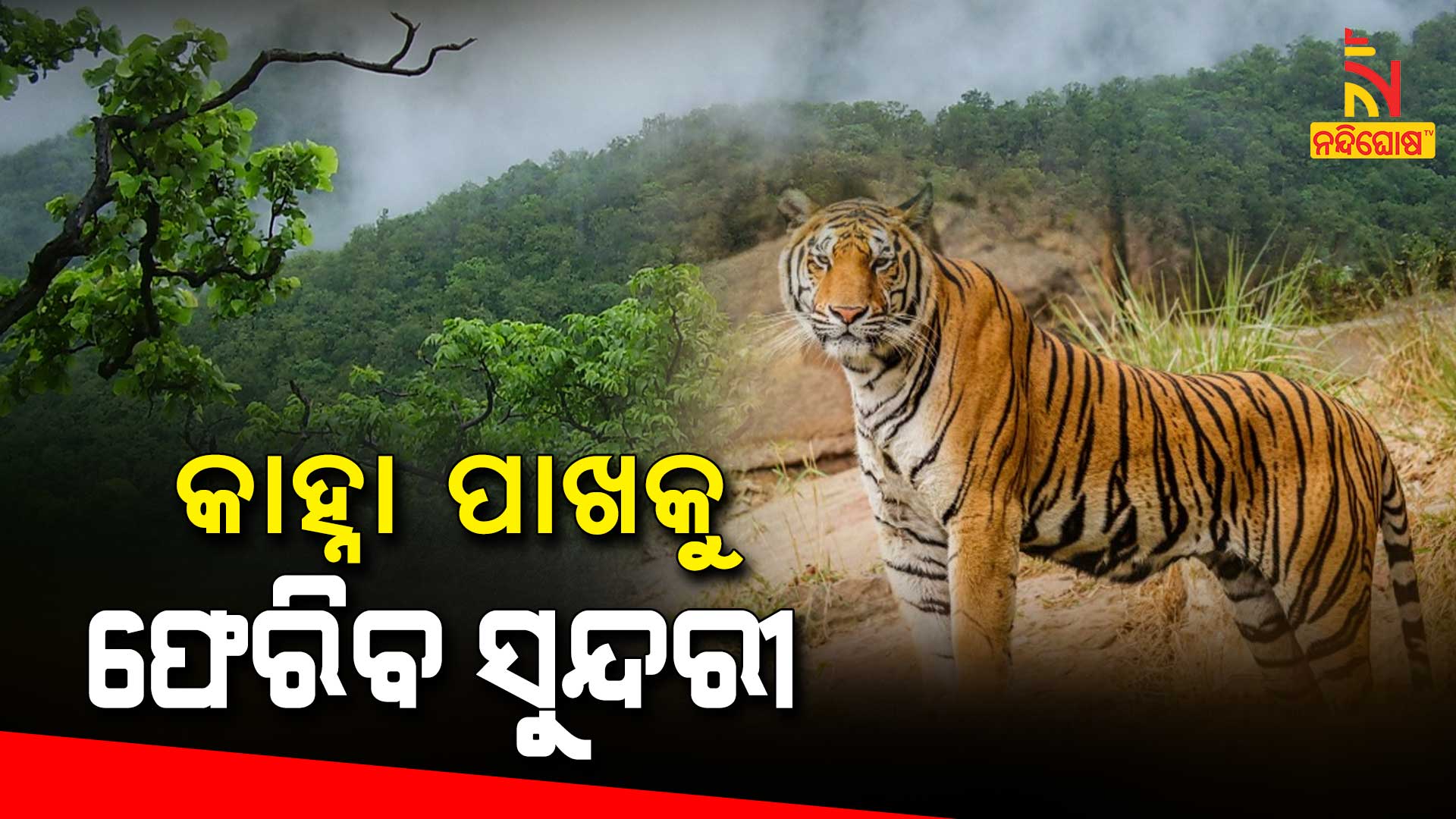 କାହ୍ନା-ପାଖକୁ-ଫେରିବ-ସୁନ୍ଦରୀ