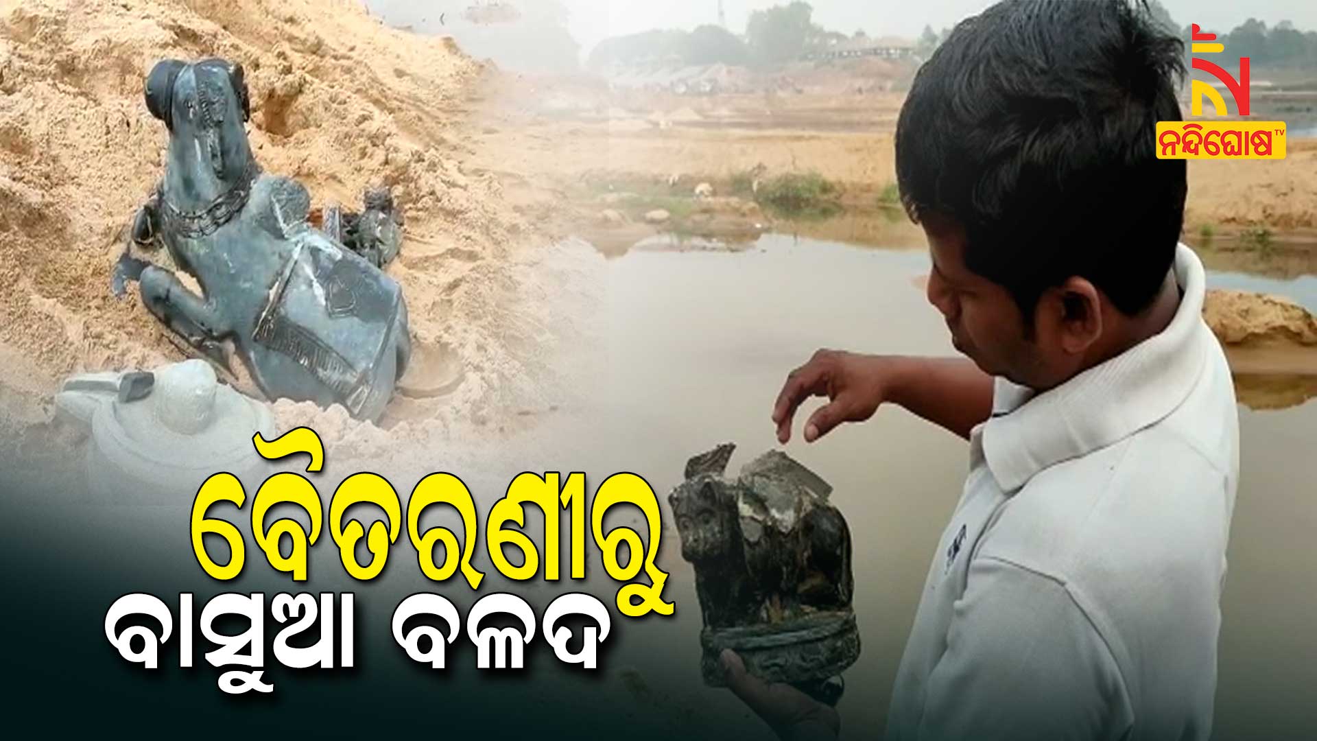 ବୈତରଣୀରୁ-ବାସୁଆ-ବଳଦ