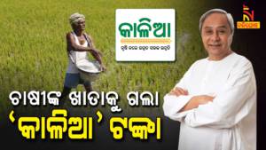 CM Naveen Patnaik Starts Work In New Financial Year by Providing Kalia Assistance To Farmer