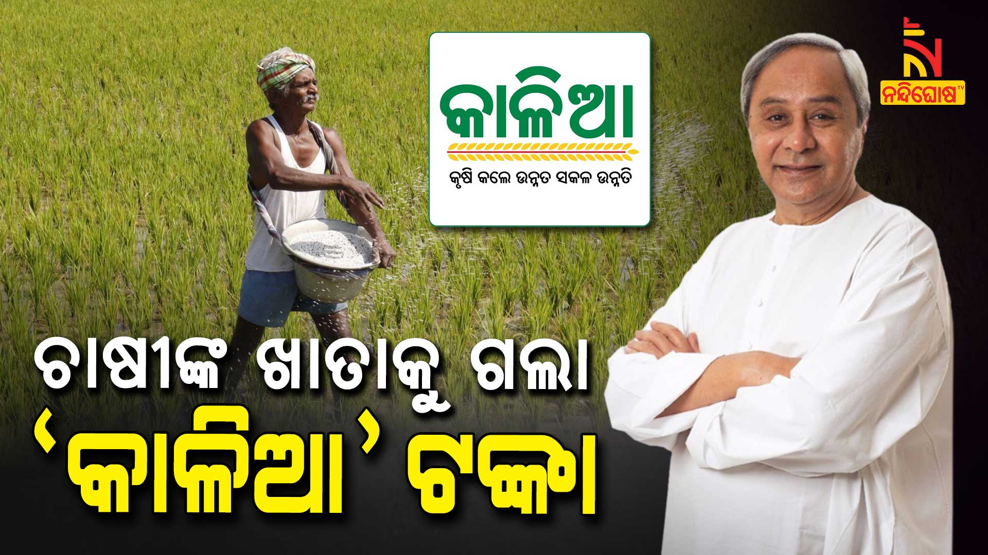 CM Naveen Patnaik Starts Work In New Financial Year by Providing Kalia Assistance To Farmer CM Naveen Patnaik Starts Work In New Financial Year by Providing Kalia Assistance To Farmer
