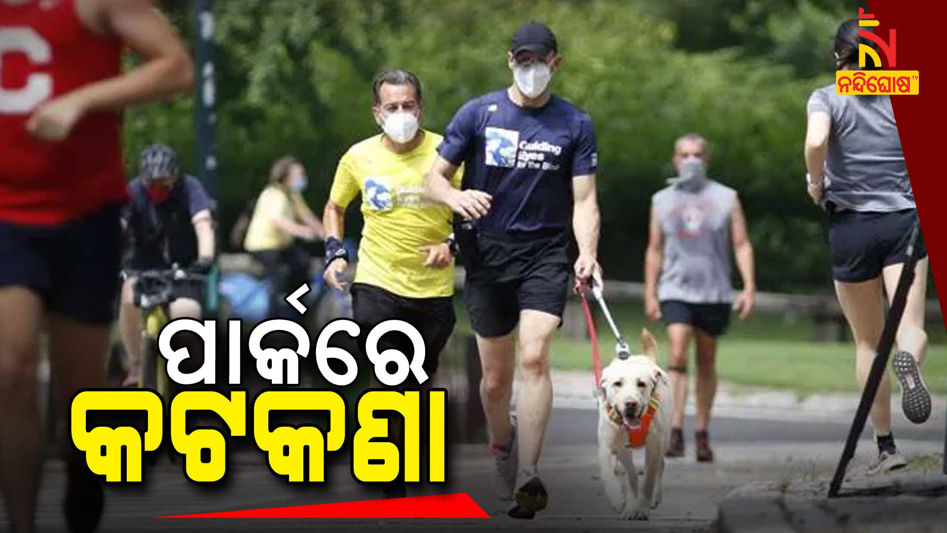 ପାର୍କରେ-କଟକଣା