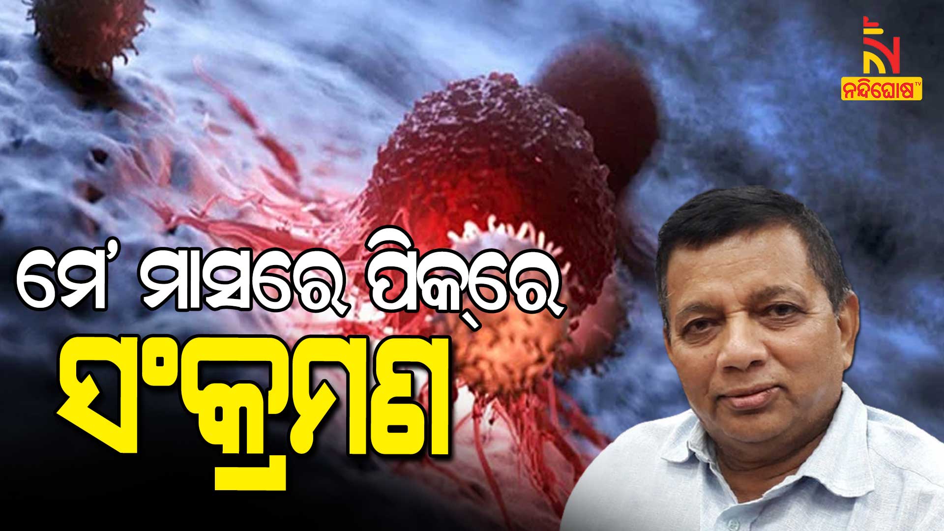 ମେ'-ମାସରେ-ପିକ୍-ରେ-ସଂକ୍ରମଣ