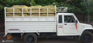 70 Packet Potato Seized By Khordha Supply Department
