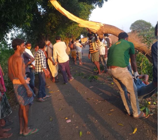 Shocking Accident In Bargarh, Two Biker Died As Tree Branches Hit Them